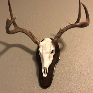 Meet your Posher, Jarrett